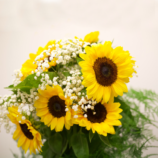 Girasoli - immagine 3