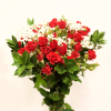Rose ramificate rosse - immagine 2